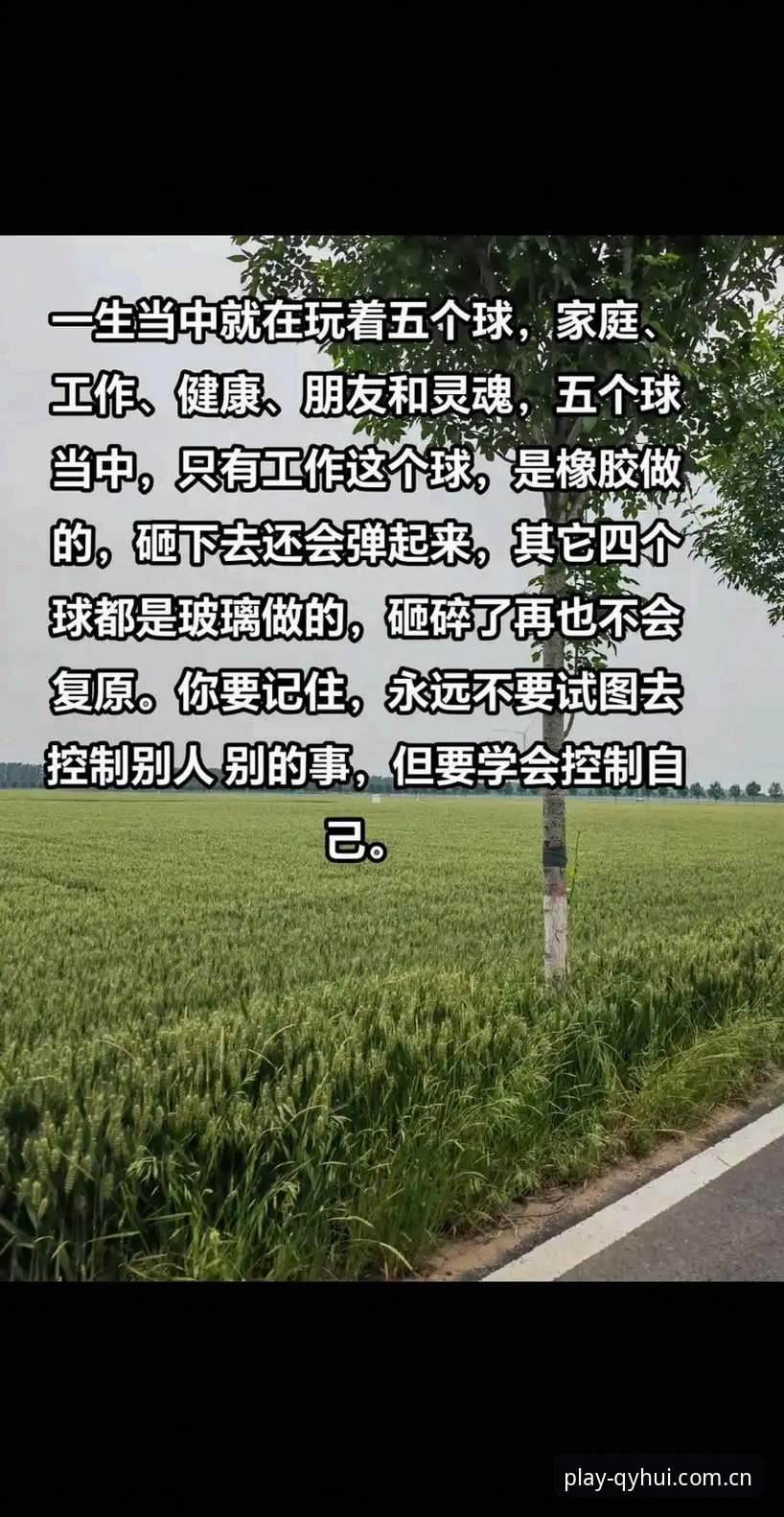 球友会官网入口地址推荐 揭秘球友会官网入口地址推荐背后的真相:新手必看的五个关键点